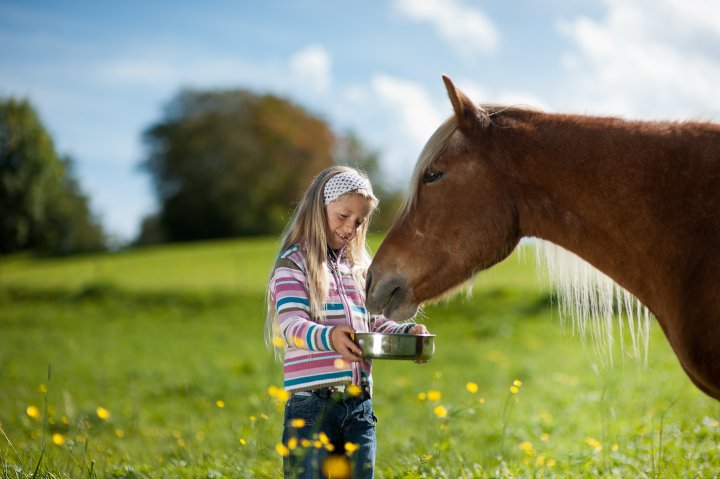 Ein Kind am Pferdehof in Meransen