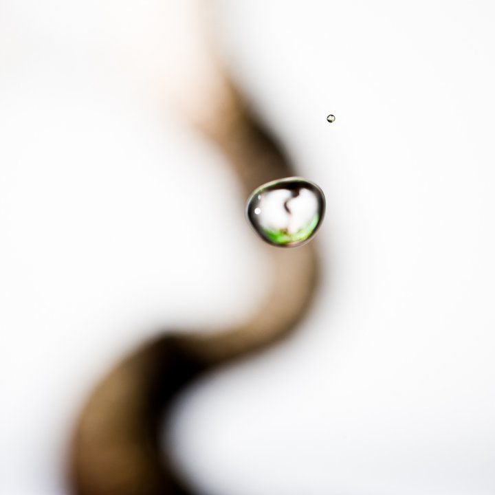 Wasserspiegelung in einem Tropfen