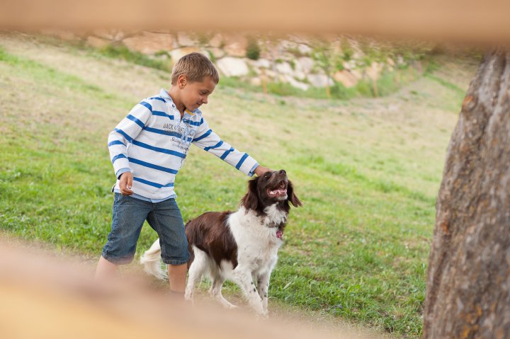 Ein Kind auf der Wiese mit dem Hofhund